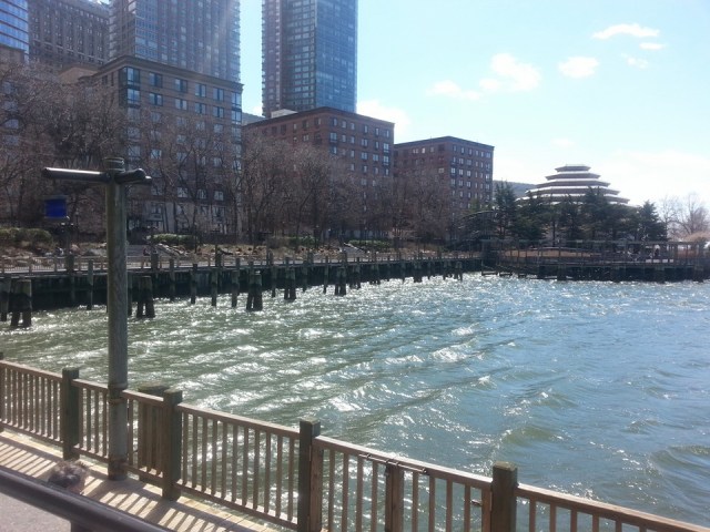 11046704_893026884053232_614893256457771365_n