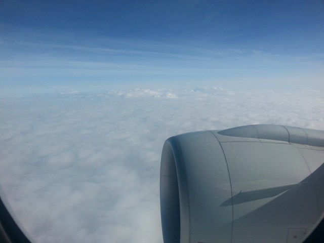 11146244_895352047154049_856355016158066282_n