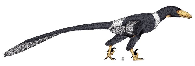 deinonychus - da usare per dino preferito