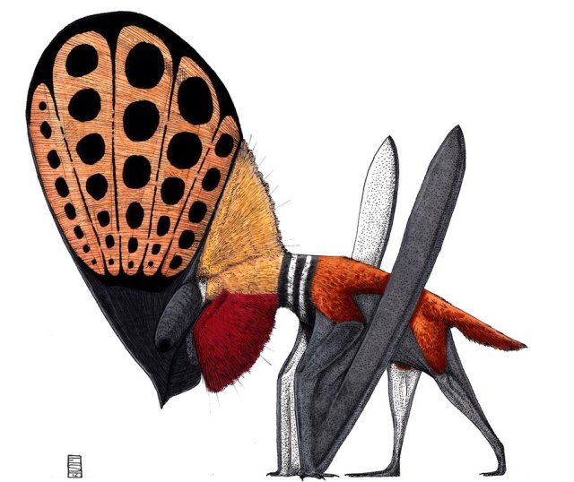 tupandactylus - anche questa a caso o in alternativa a deinonychus