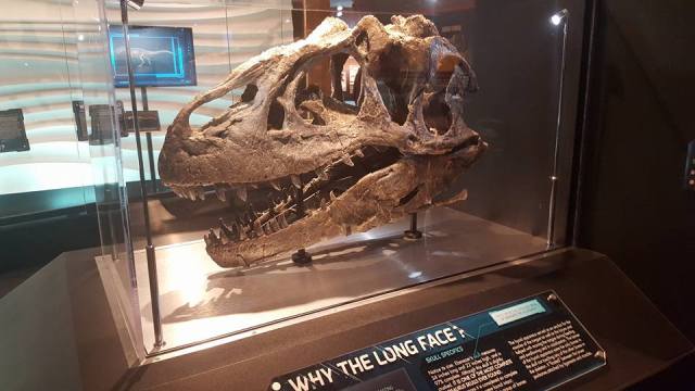 11221419_998951583460761_6644737656815973659_n