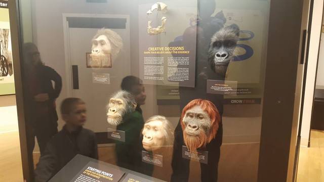 12235034_992727180749868_6414181576057984541_n