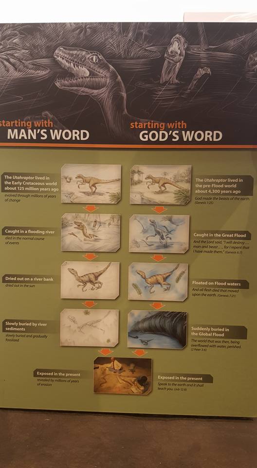 12239652_992726940749892_7885539837212886830_n