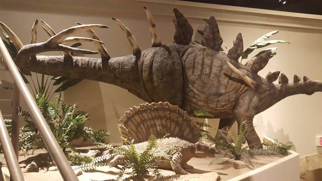 12249602_998954433460476_2079284680500582325_n