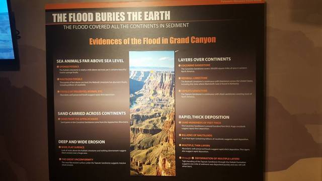 12250112_998951470127439_4823550931945788365_n