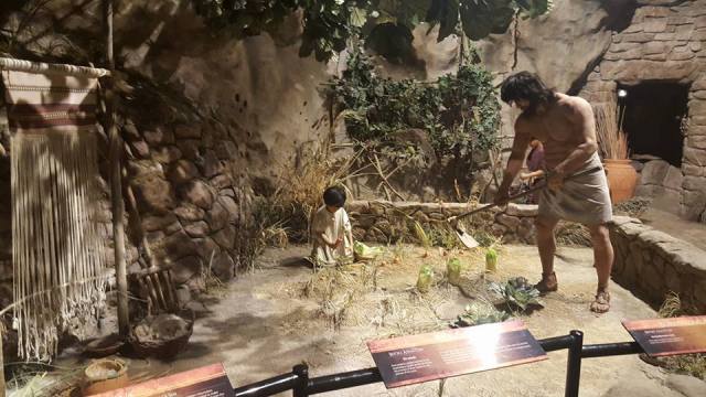 12295239_998950786794174_4293739154677295586_n