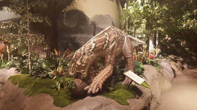 12299198_998948033461116_5467528196578956676_n