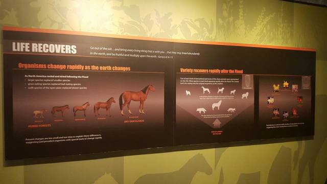 12308630_998954003460519_7204059595797144686_n